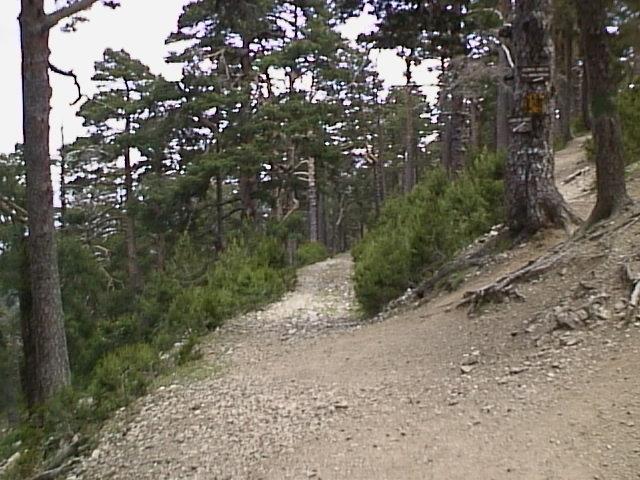 cruceschmid.jpg (72702 bytes)